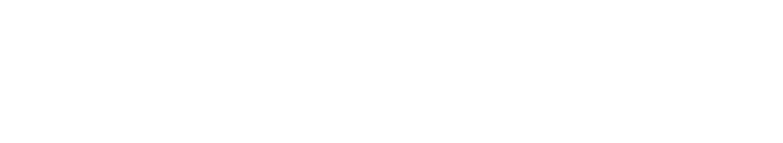 Technology Partner Services SA de CV | Comercialización y Logística Empresarial